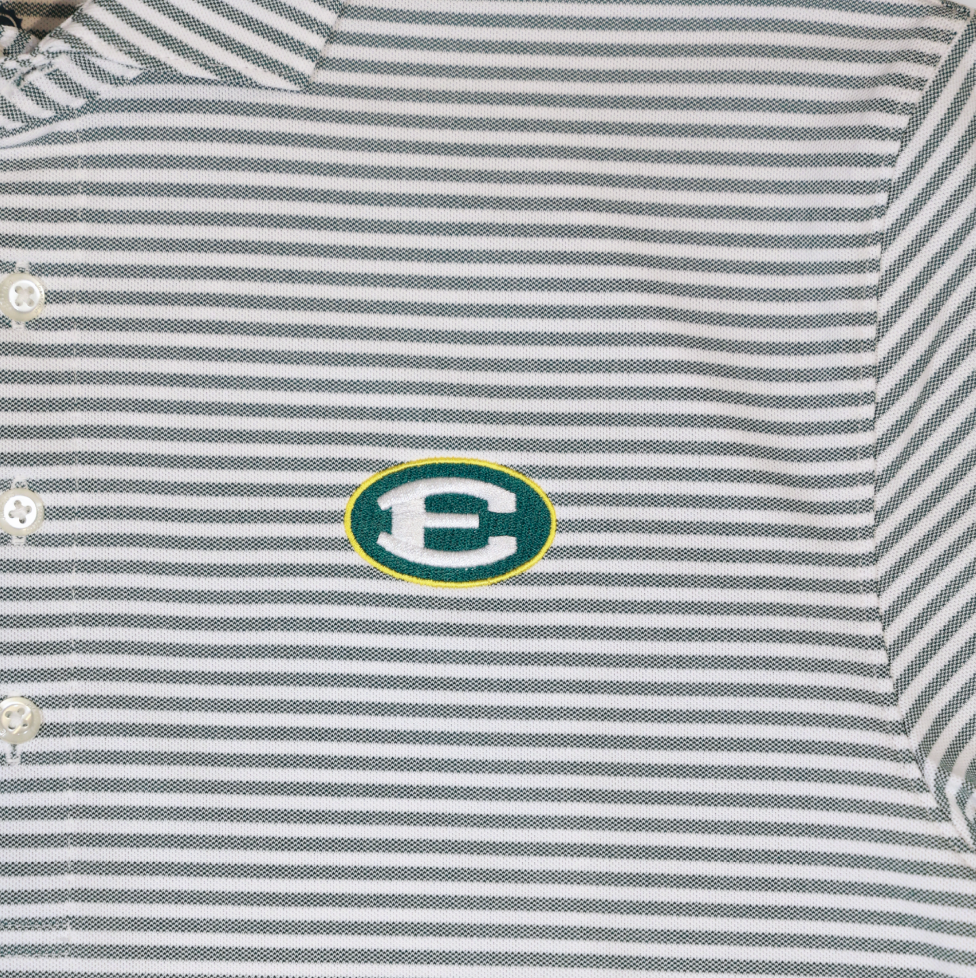 Johnnie-O Performance Polo - Thick Striped Green
