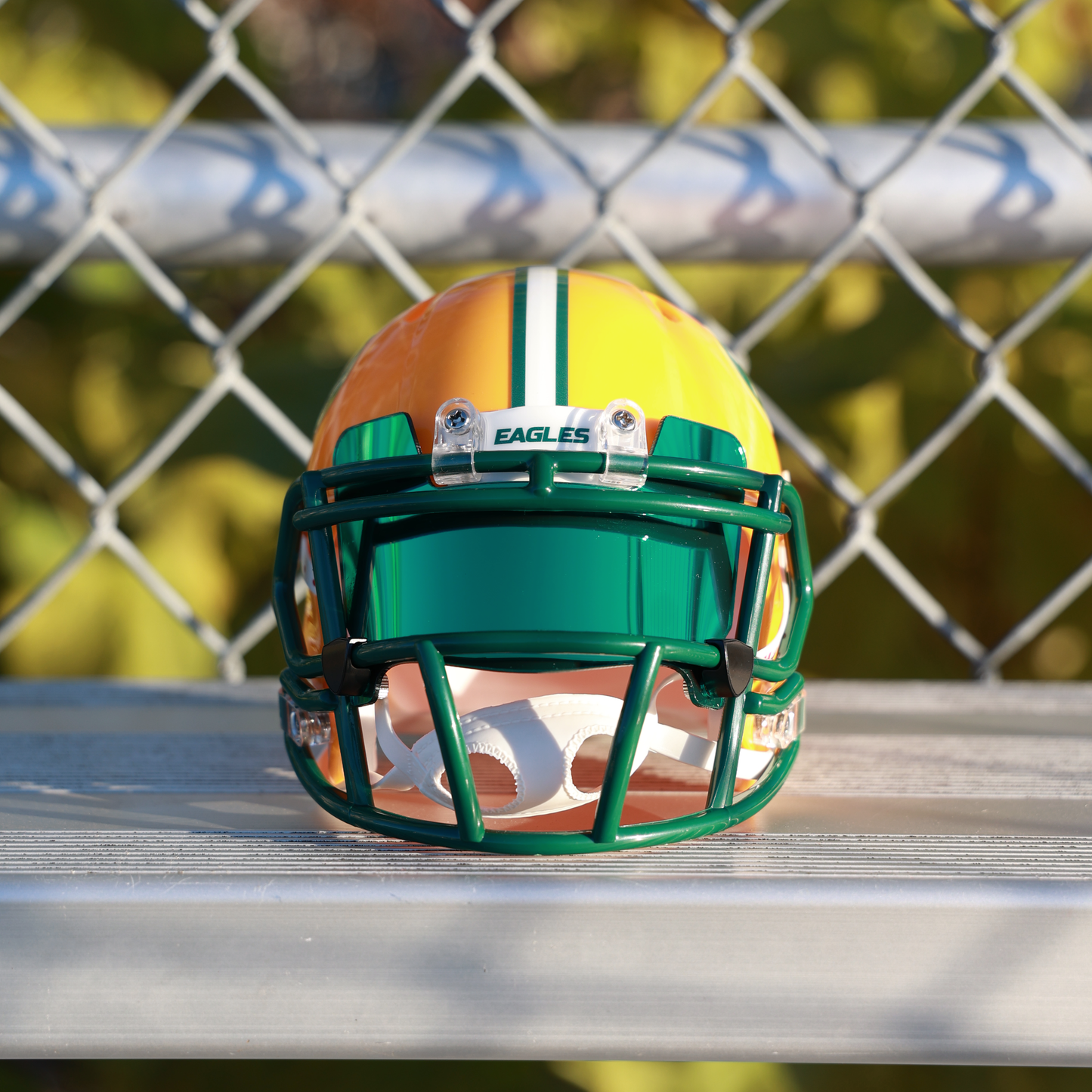 Riddell Mini Football Helmet