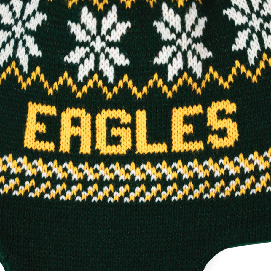 Knit Hat w/Tassel and Earflaps