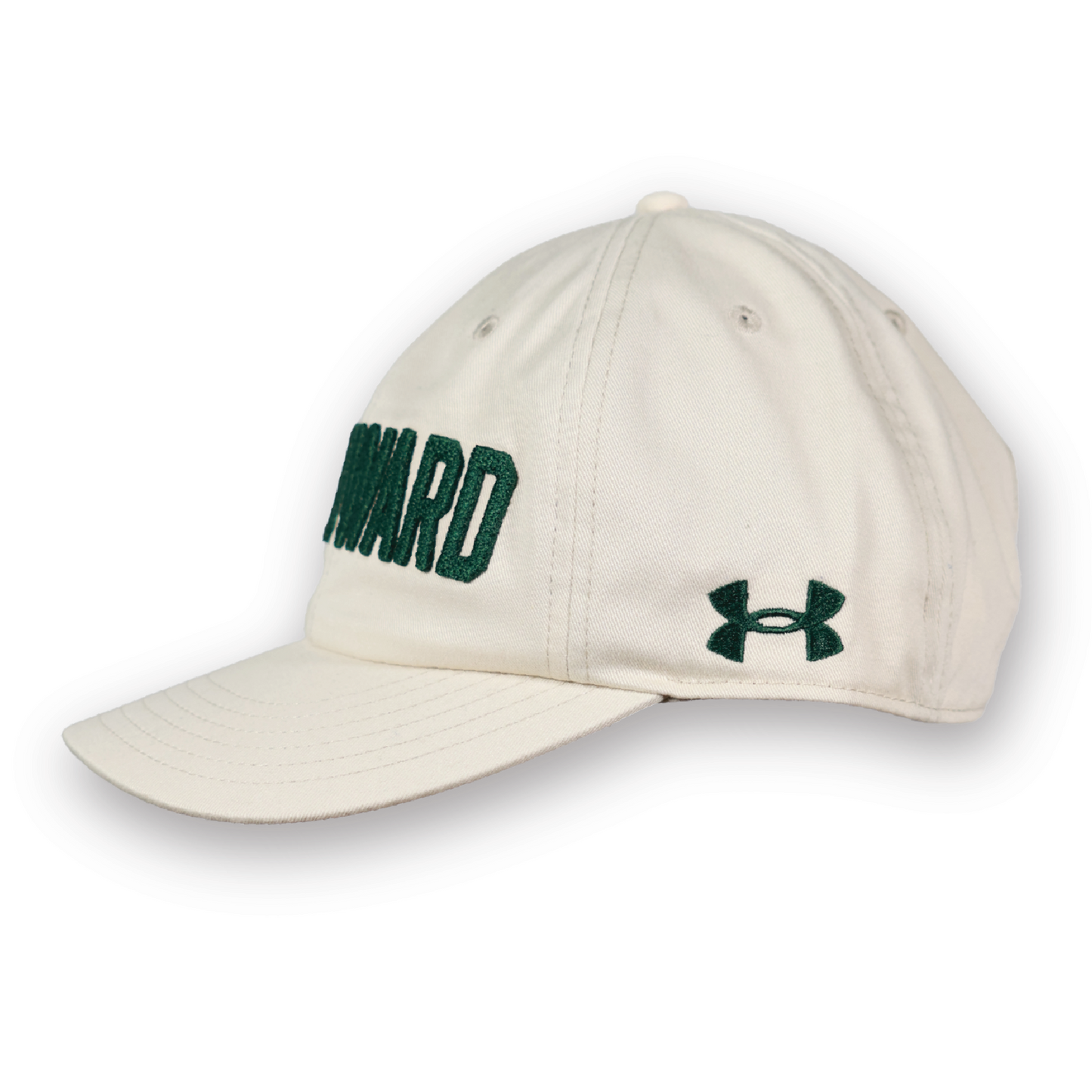 Under Armor Raised Embroidery Hat