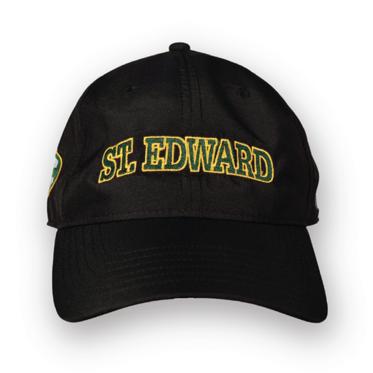 Under Armour Performance 2.0 Hat