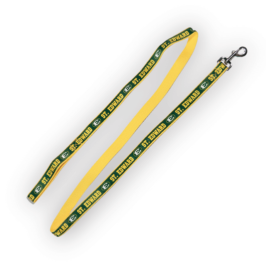6' Pet Leash